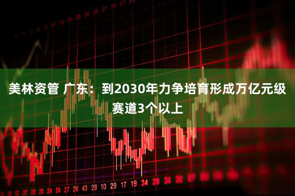 美林资管 广东：到2030年力争培育形成万亿元级赛道3个以上