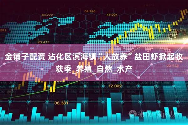 金铺子配资 沾化区滨海镇“人放养”盐田虾掀起收获季_养殖_自然_水产