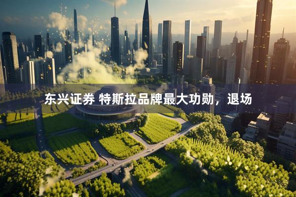 东兴证券 特斯拉品牌最大功勋，退场