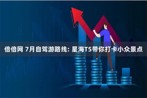 倍倍网 7月自驾游路线: 星海T5带你打卡小众景点