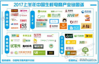 电商 2017年 上 中国电子商务市场数据监测报告